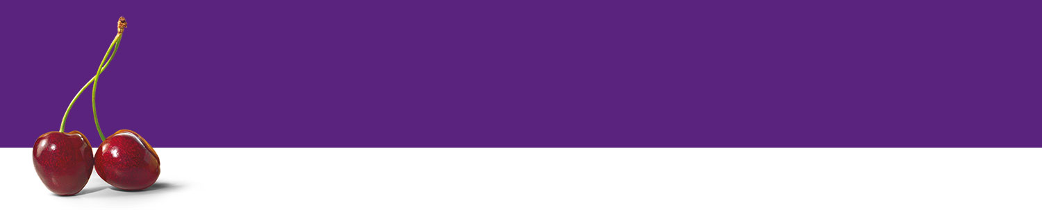 Two cherries with stems against a purple background.