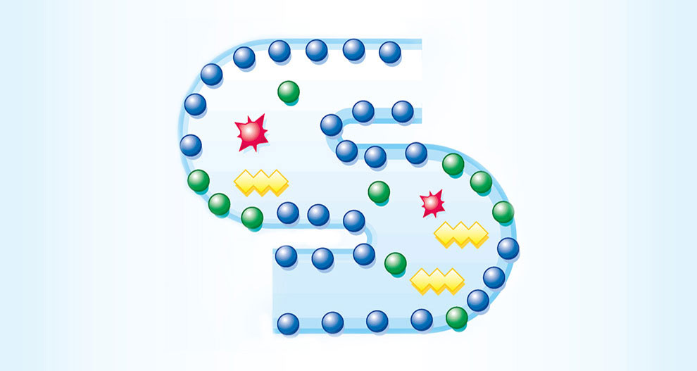Une lettre "S" stylisée composée de cercles bleus, entrecoupés d'éléments verts et rouges.