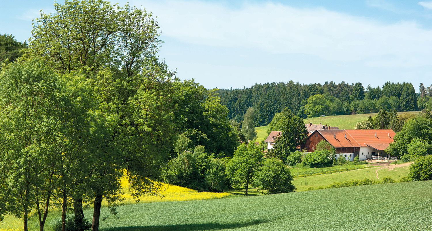 Une scène de campagne sereine avec une maison, des champs verts et des arbres.